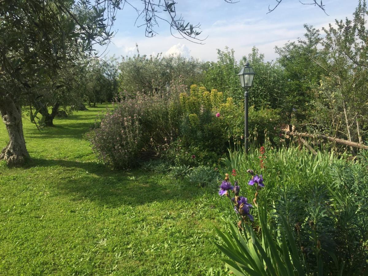 Вілла Olivella Кампаньяно-ді-Рома Екстер'єр фото